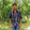 ENAMUL