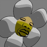 Valerianjp