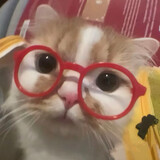 qiaokeligannaxiu