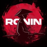 Red Ronin VR