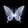___jiang