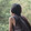 iisle_