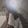 rou_yumi