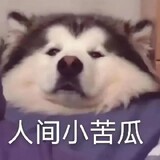 zhaixingxingbuyuyu