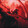 alphablasphemer