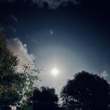 Fly_me_to_the_moon76