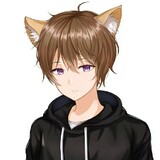 cfshouyouay