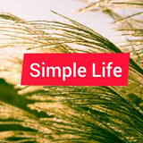 Simple Life_