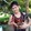 bkkf gamefarm