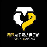 tayundianzijingjijulebu