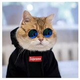 Suhenpipile