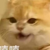 shouhufeirensuyouze