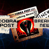 Cobra Post News