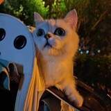 yuananweiliu
