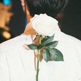 shashayiyou