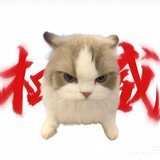 miao_____iaojuchang-