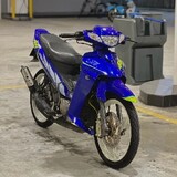 Vivovivo_7133