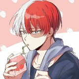 todoroki2345