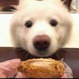 aiketang____
