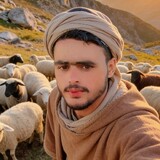 Safrhaman Safrhaman
