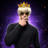 PRIME ERROX