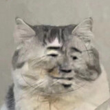 wenminyo