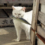 クロー