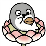wanqixuan