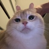 Duangkamon Thonglong