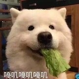 cangyan
