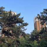 shishangxiaobenben