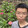 dryxiangyangersheng