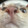 feishengwuasmr