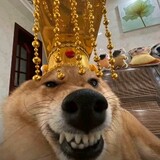 aomeijiabenzun
