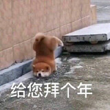 chunbujiu