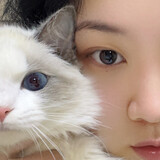 zhouzhoubumaizhouya