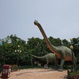 qianqiandexuxu