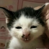 Bảo Vy_3757