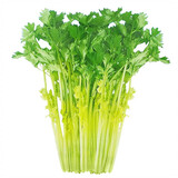 cuilvqincai