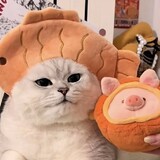 fuqiduoduodexiaoz