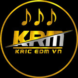 Kric EDM VN
