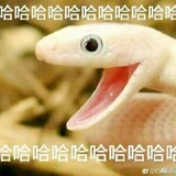 guangsusou