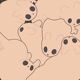 xingguibuanguidaozou