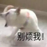 yizhiguangyu