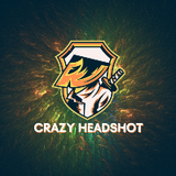 Crazy Headshot