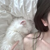mianmianaishuijue