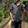 jxyriel_1510