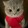 alloveskitten