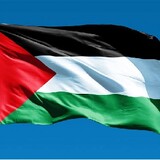 FREE FREE PALESTINE