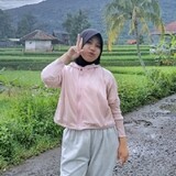 Mesdianar